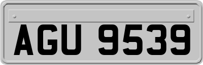 AGU9539