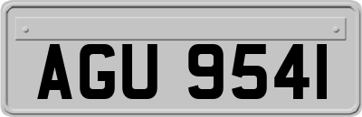 AGU9541