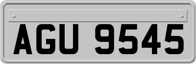 AGU9545