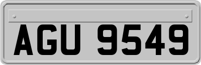 AGU9549