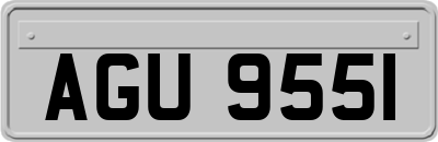 AGU9551