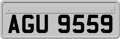 AGU9559