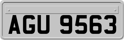 AGU9563