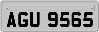 AGU9565