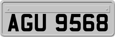 AGU9568