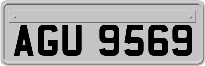 AGU9569