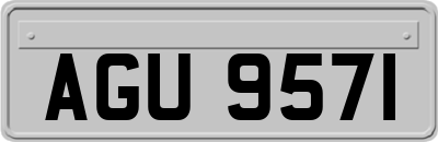 AGU9571