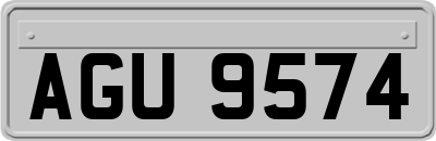 AGU9574