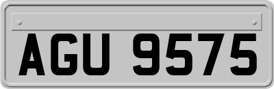 AGU9575