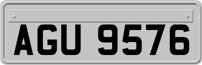 AGU9576