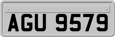 AGU9579