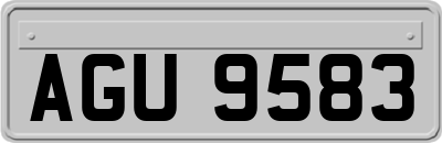 AGU9583