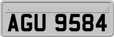 AGU9584