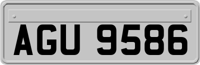 AGU9586