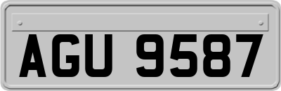 AGU9587