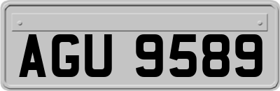 AGU9589