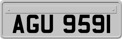 AGU9591
