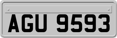AGU9593