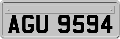 AGU9594