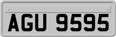 AGU9595