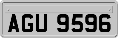 AGU9596