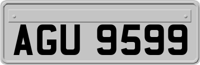 AGU9599