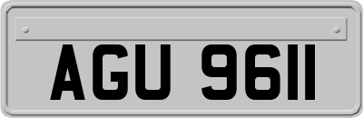 AGU9611