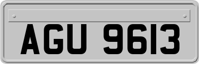 AGU9613