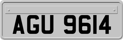 AGU9614