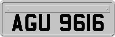 AGU9616