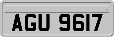AGU9617