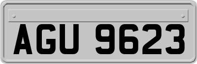 AGU9623