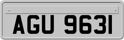 AGU9631