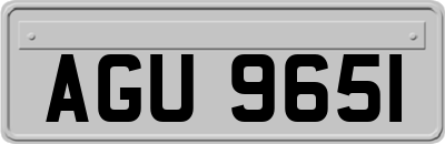 AGU9651