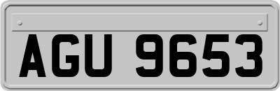 AGU9653