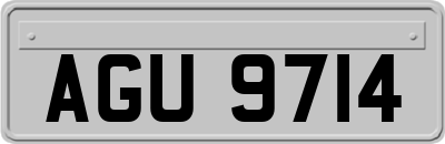 AGU9714