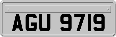 AGU9719