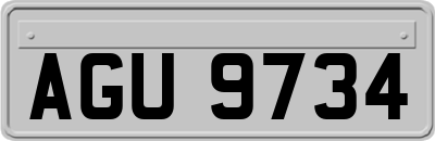 AGU9734
