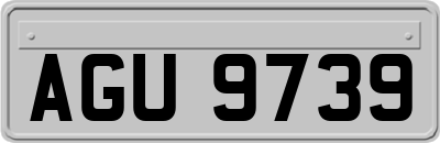 AGU9739