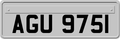 AGU9751