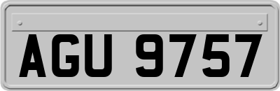 AGU9757