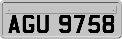 AGU9758