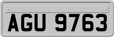 AGU9763