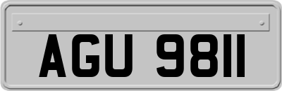 AGU9811