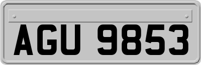 AGU9853