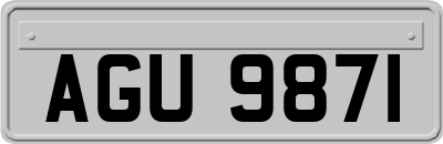 AGU9871