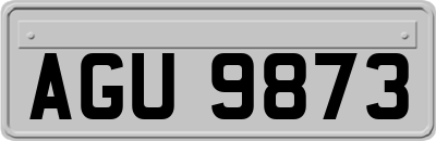 AGU9873