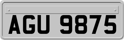 AGU9875