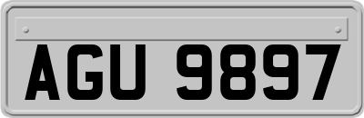 AGU9897