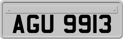 AGU9913